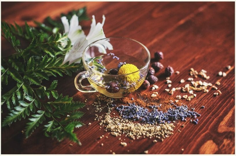 Whether you're sipping on a calming tea or soaking in a herbal bath, incorporating herbs into your self-care routine can enhance feelings of self-love