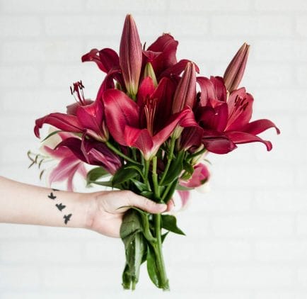 As the may birth flower, lilies represent purity, chastity, and sweetness