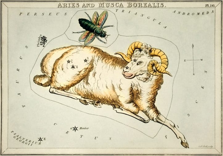 The aries zodiac sign is represented by the ram, signifying their courageous and driven nature