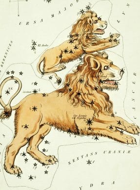 The symbol of the leo zodiac sign is the nemean lion