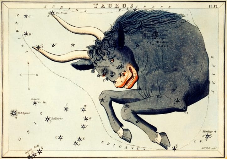 The taurus zodiac is often represented as the bull, symbolic of this sign's strength, tenacity, and stubbornness.