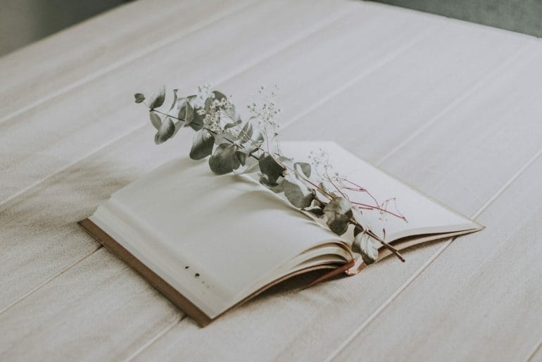 Keeping a manifestation journal will strengthen your intentions