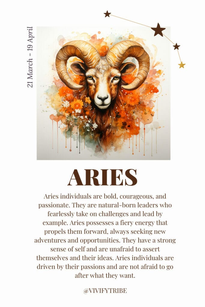 From the daffodil and daisy, find out what are the best aries flowers that can enhance the well-being and unique qualities of this zodiac sign.